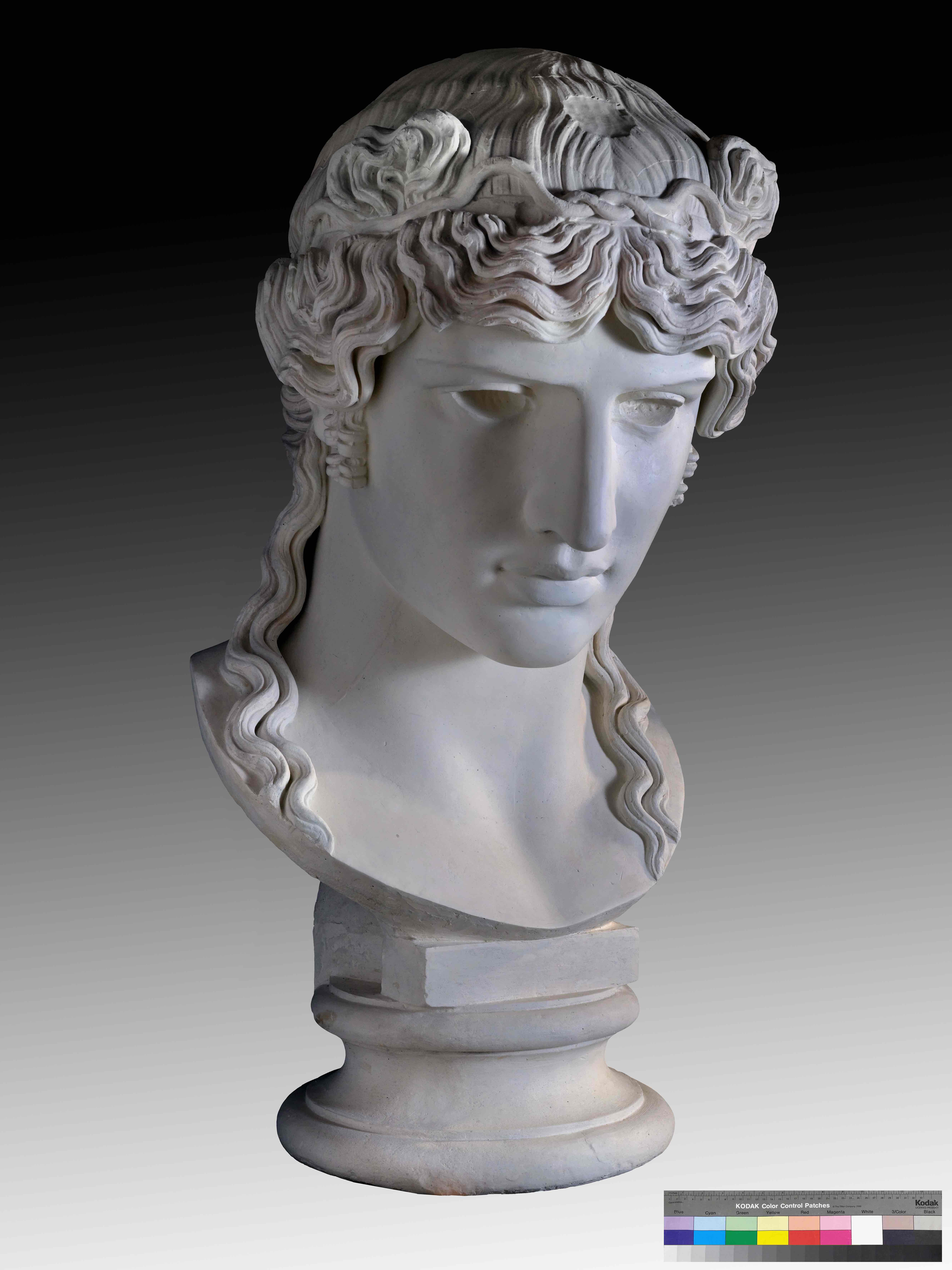 Antinoo Mondragone, Plaster Cast Collection, Accademia di Belle Arti di Brera, Milan